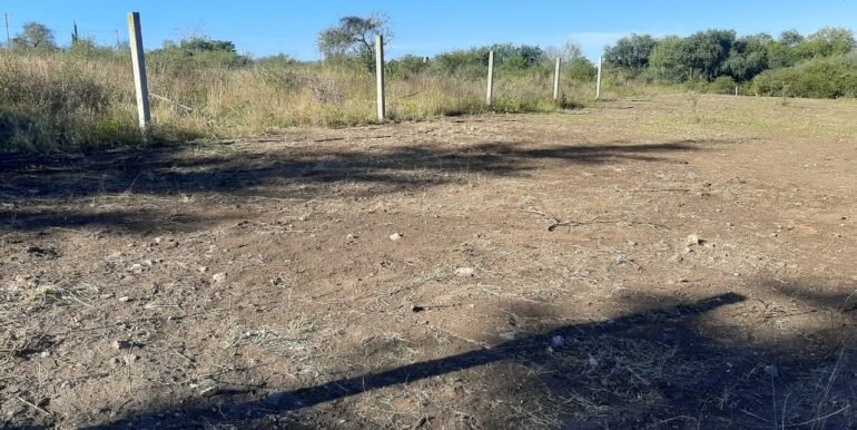 WhatsApp Image 2021-05-11 at 2.05.41 PM