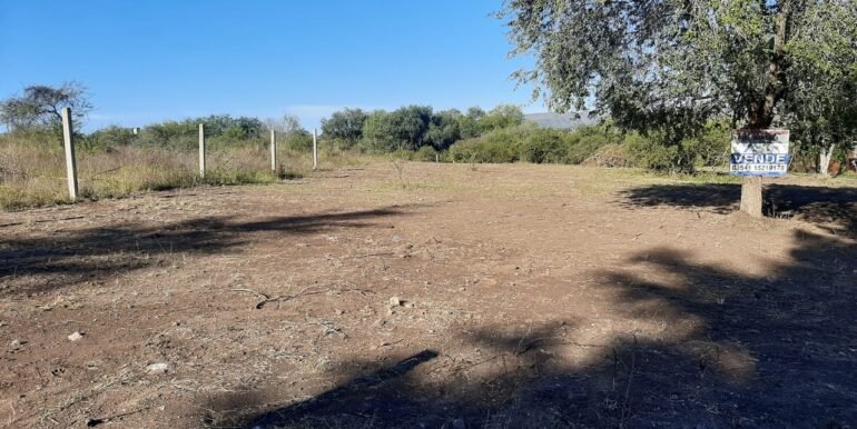 WhatsApp Image 2021-05-11 at 2.05.43 PM