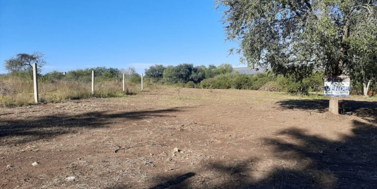 WhatsApp Image 2021-05-11 at 2.05.44 PM