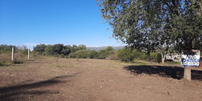 WhatsApp Image 2021-05-11 at 2.05.45 PM