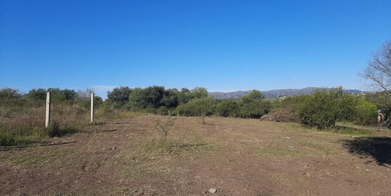 WhatsApp Image 2021-05-11 at 2.05.46 PM (3)