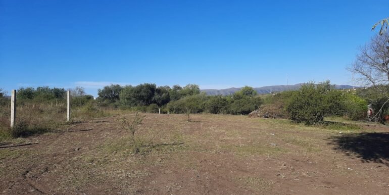 WhatsApp Image 2021-05-11 at 2.05.46 PM