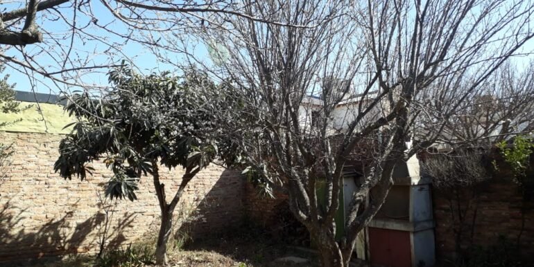 IMG-20190909-WA0064