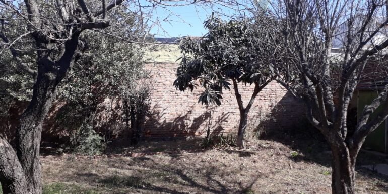 IMG-20190909-WA0067