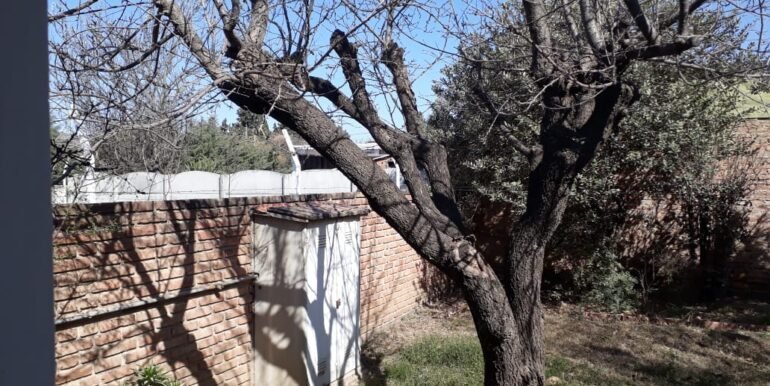 IMG-20190909-WA0069