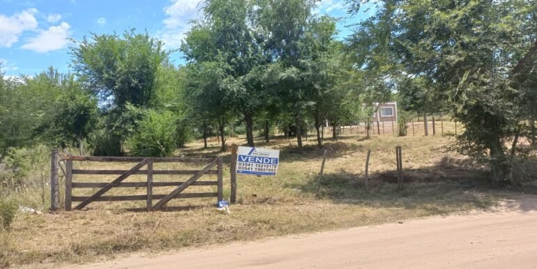 WhatsApp Image 2024-02-07 at 15.23.59 (2)