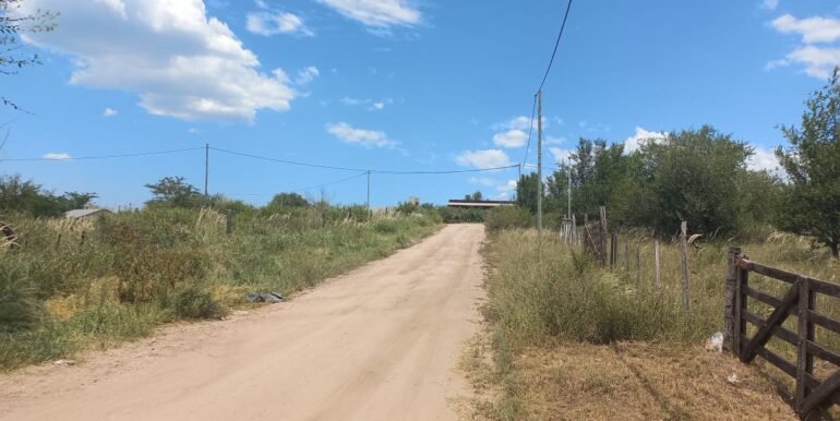 WhatsApp Image 2024-02-07 at 15.23.59