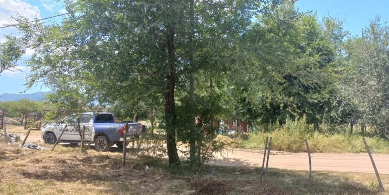 WhatsApp Image 2024-02-07 at 15.24.00