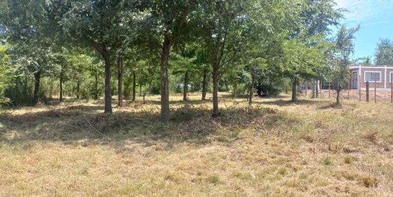 WhatsApp Image 2024-02-07 at 15.24.02 (1)