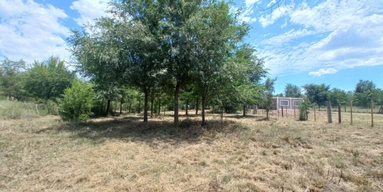 WhatsApp Image 2024-02-07 at 15.24.03 (1)