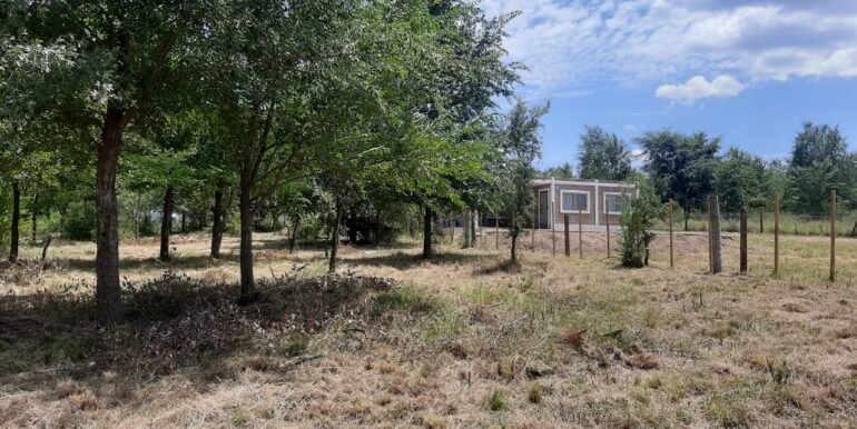 WhatsApp Image 2024-02-07 at 17.39.25