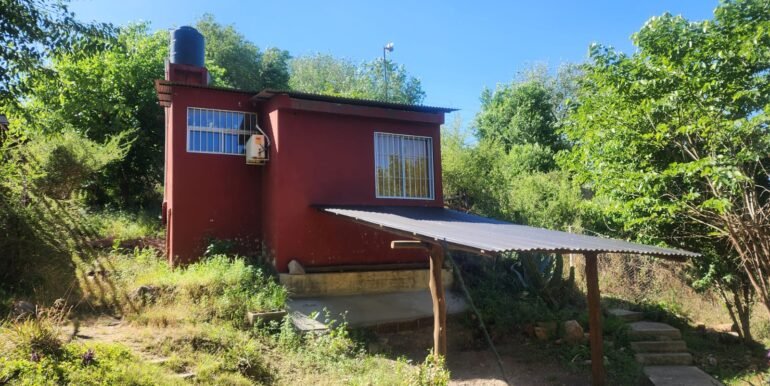 WhatsApp Image 2025-10-25 at 16.11.13