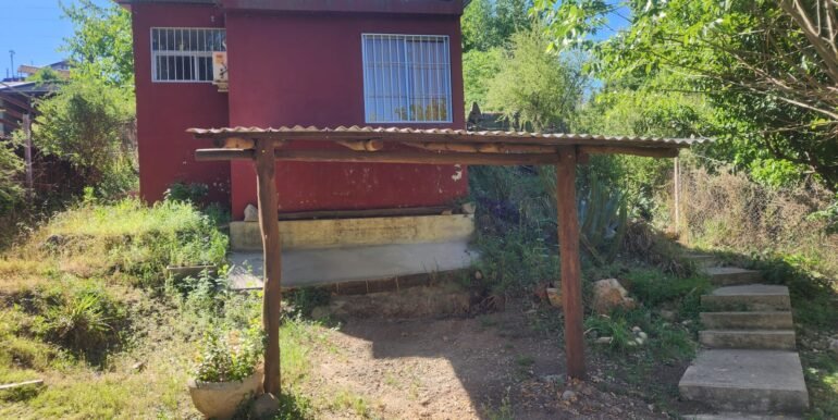 WhatsApp Image 2025-10-25 at 16.11.15