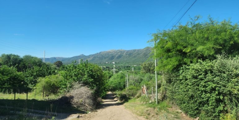 WhatsApp Image 2025-10-25 at 16.11.48