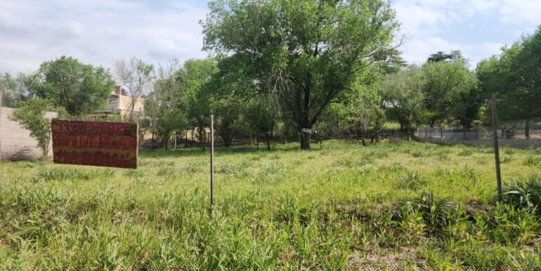 WhatsApp Image 2025-11-06 at 11.59.45