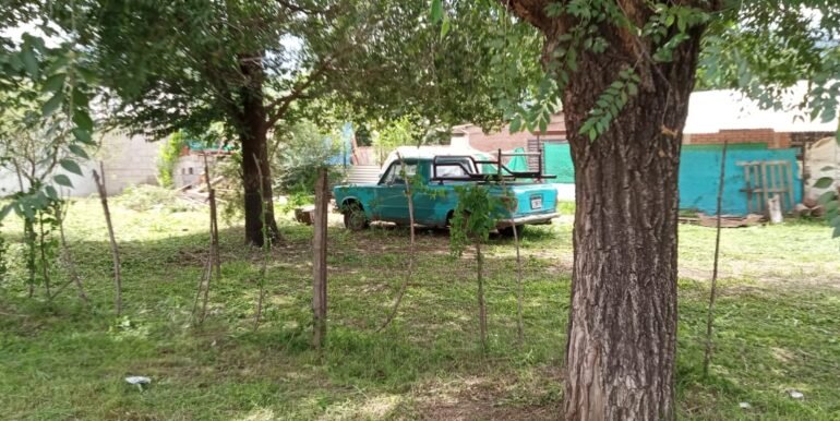 WhatsApp Image 2025-11-06 at 12.12.48 (1)