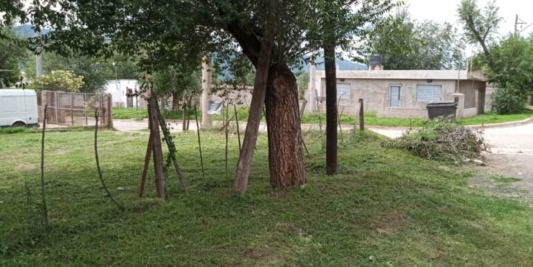 WhatsApp Image 2025-11-06 at 12.12.48 (2)