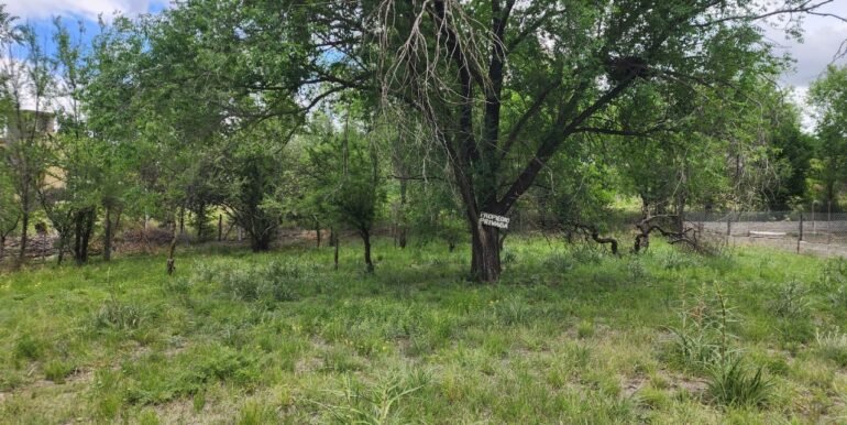 WhatsApp Image 2025-11-06 at 19.18.04 (2)