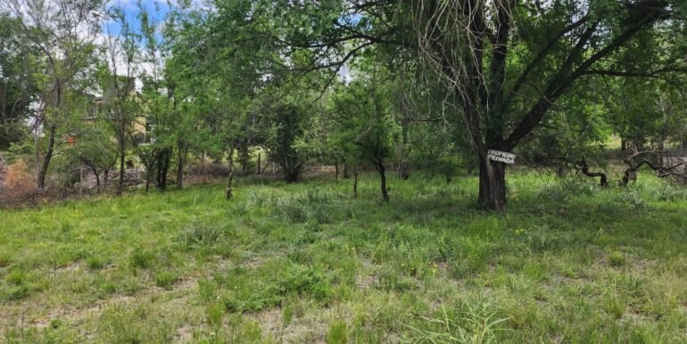 WhatsApp Image 2025-11-06 at 19.18.05 (1)