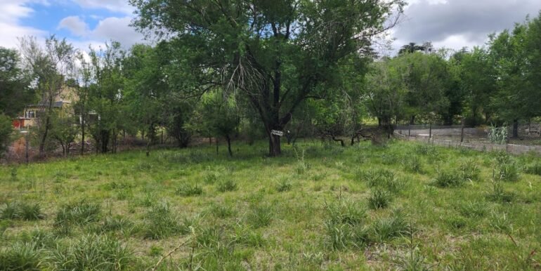 WhatsApp Image 2025-11-06 at 19.18.05