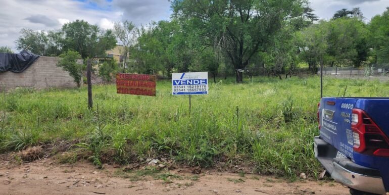 WhatsApp Image 2025-11-06 at 19.18.06