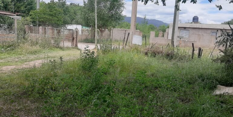 WhatsApp Image 2025-11-07 at 10.38.24