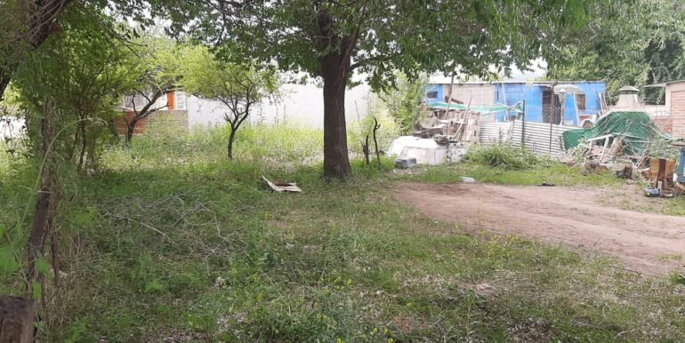 WhatsApp Image 2025-11-07 at 10.38.25 (1)