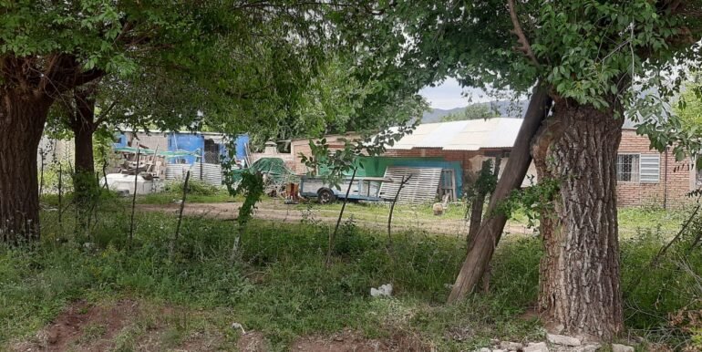 WhatsApp Image 2025-11-07 at 10.38.25