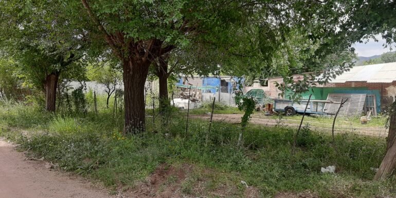 WhatsApp Image 2025-11-07 at 10.38.26