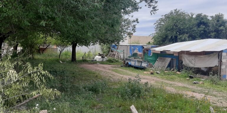 WhatsApp Image 2025-11-07 at 10.38.30 (2)