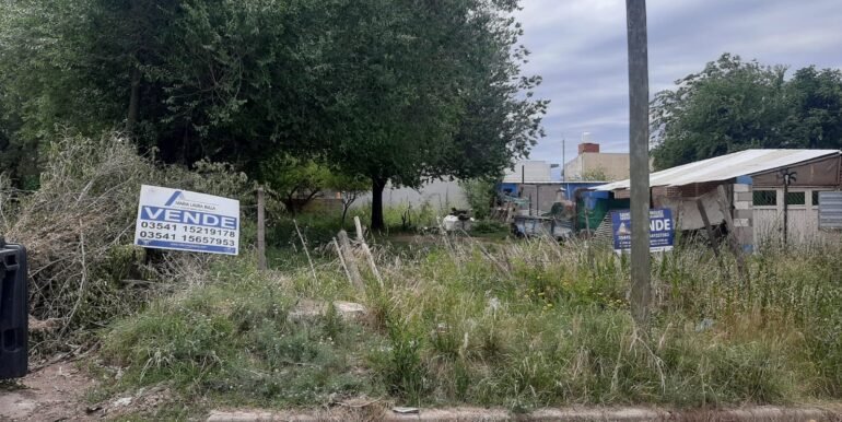 WhatsApp Image 2025-11-07 at 10.38.30