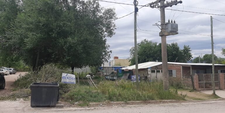 WhatsApp Image 2025-11-07 at 10.38.31