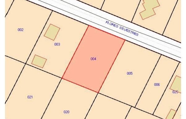 WhatsApp Image 2025-11-07 at 10.41.06