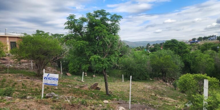 WhatsApp Image 2025-11-07 at 18.34.37 (1)