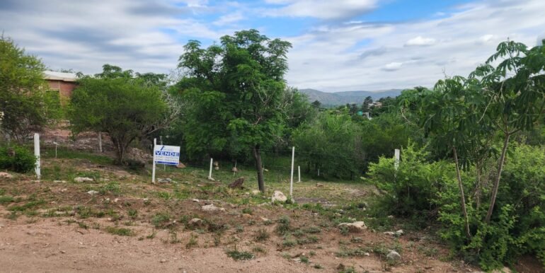 WhatsApp Image 2025-11-07 at 18.34.37