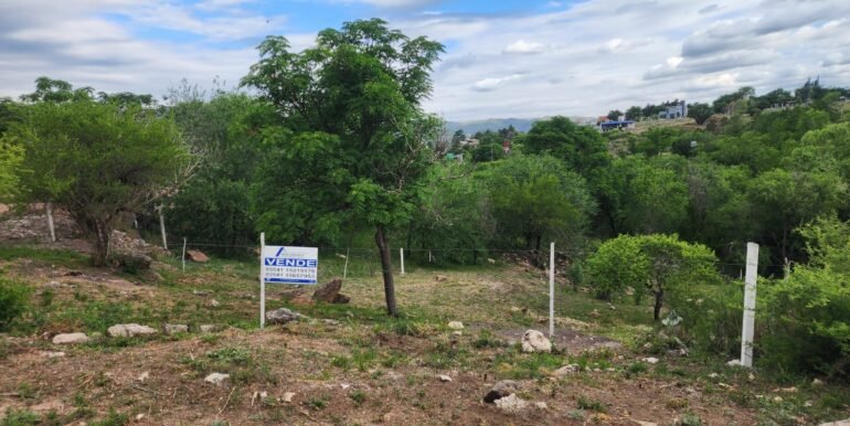 WhatsApp Image 2025-11-07 at 18.34.38