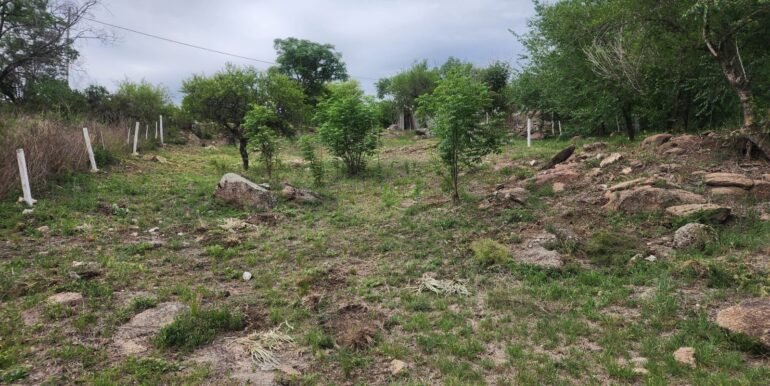 WhatsApp Image 2025-11-07 at 18.34.39 (1)