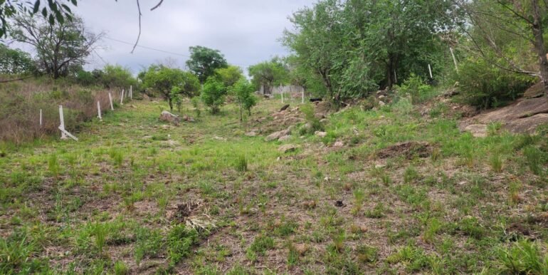 WhatsApp Image 2025-11-07 at 18.34.39