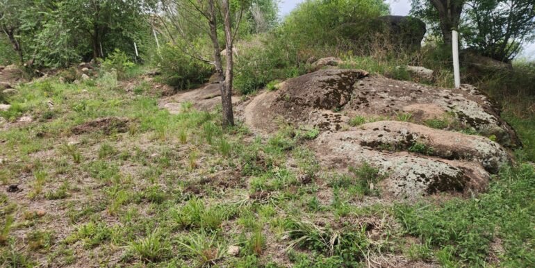 WhatsApp Image 2025-11-07 at 18.34.41 (4)