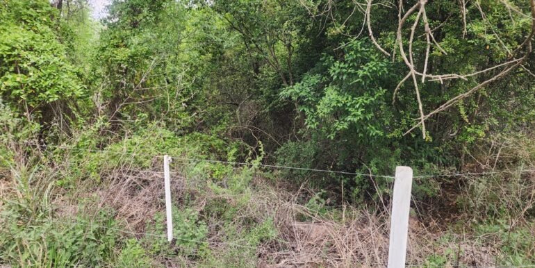 WhatsApp Image 2025-11-07 at 18.34.41