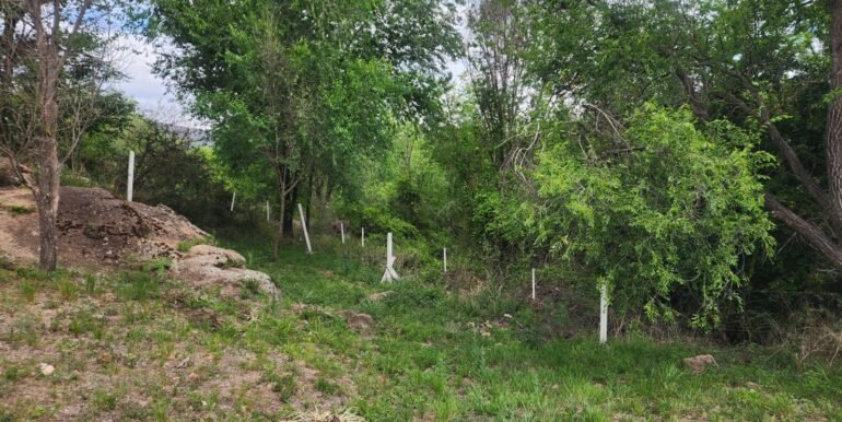 WhatsApp Image 2025-11-07 at 18.34.43