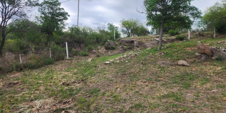 WhatsApp Image 2025-11-07 at 18.34.44 (1)