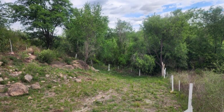 WhatsApp Image 2025-11-07 at 18.34.44 (3)