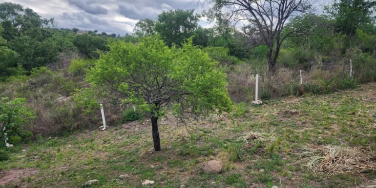 WhatsApp Image 2025-11-07 at 18.34.44