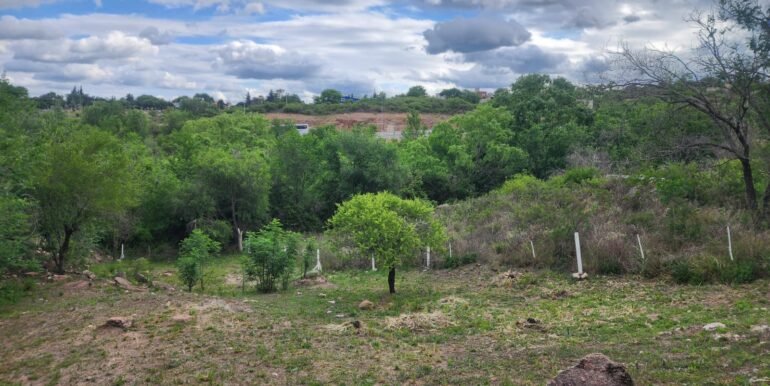 WhatsApp Image 2025-11-07 at 18.34.45 (1)