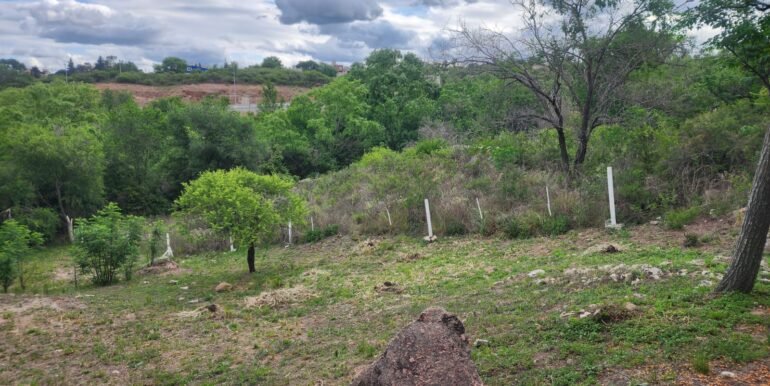 WhatsApp Image 2025-11-07 at 18.34.45 (2)