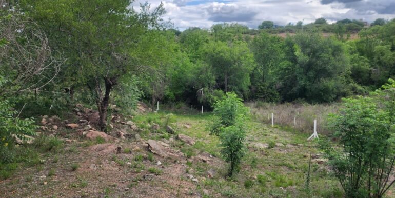 WhatsApp Image 2025-11-07 at 18.34.45 (3)