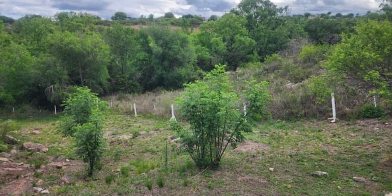 WhatsApp Image 2025-11-07 at 18.34.45 (4)