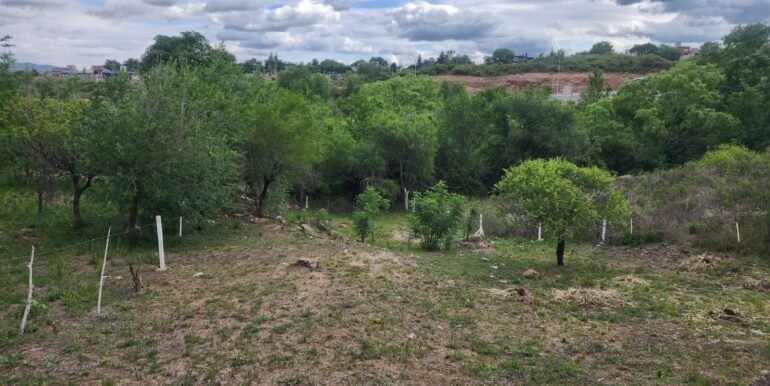 WhatsApp Image 2025-11-07 at 18.34.45