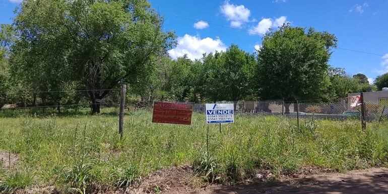 WhatsApp Image 2025-11-09 at 11.41.38